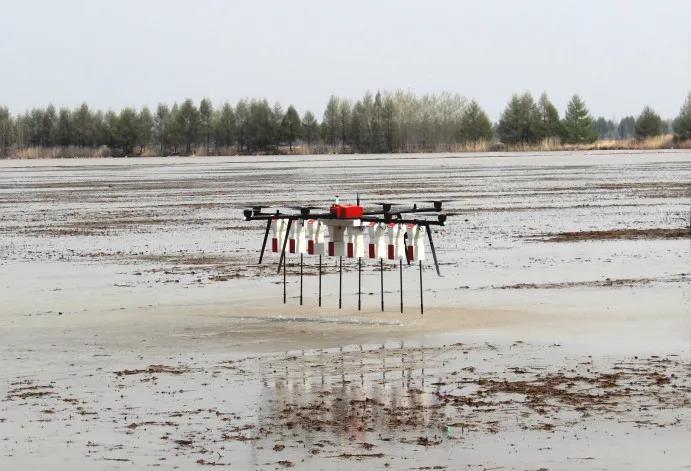 《“十三五”農業農村發展成就斐然，農業機械化與科技服務引領現代農業新篇章》